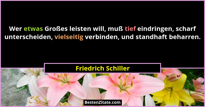 Wer etwas Großes leisten will, muß tief eindringen, scharf unterscheiden, vielseitig verbinden, und standhaft beharren.... - Friedrich Schiller