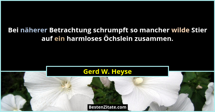 Bei näherer Betrachtung schrumpft so mancher wilde Stier auf ein harmloses Öchslein zusammen.... - Gerd W. Heyse