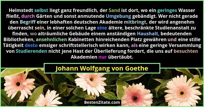 Helmstedt selbst liegt ganz freundlich, der Sand ist dort, wo ein geringes Wasser fließt, durch Gärten und sonst anmutend... - Johann Wolfgang von Goethe