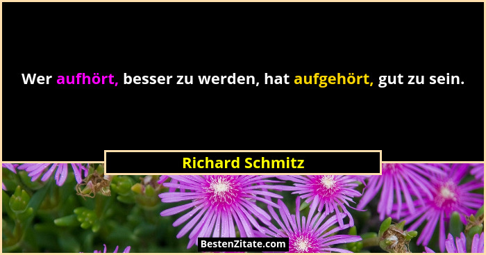 Wer aufhört, besser zu werden, hat aufgehört, gut zu sein.... - Richard Schmitz