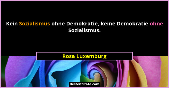 Kein Sozialismus ohne Demokratie, keine Demokratie ohne Sozialismus.... - Rosa Luxemburg