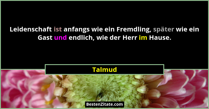 Leidenschaft ist anfangs wie ein Fremdling, später wie ein Gast und endlich, wie der Herr im Hause.... - Talmud
