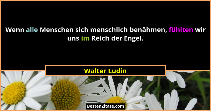 Wenn alle Menschen sich menschlich benähmen, fühlten wir uns im Reich der Engel.... - Walter Ludin
