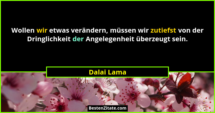 Wollen wir etwas verändern, müssen wir zutiefst von der Dringlichkeit der Angelegenheit überzeugt sein.... - Dalai Lama