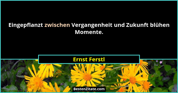 Eingepflanzt zwischen Vergangenheit und Zukunft blühen Momente.... - Ernst Ferstl