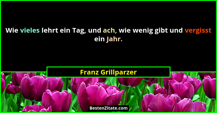 Wie vieles lehrt ein Tag, und ach, wie wenig gibt und vergisst ein Jahr.... - Franz Grillparzer
