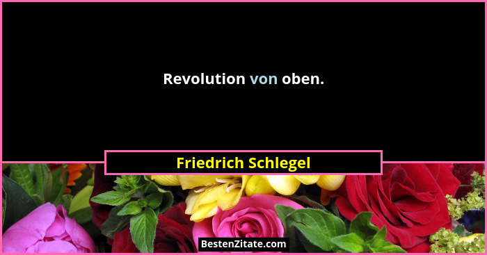 Revolution von oben.... - Friedrich Schlegel