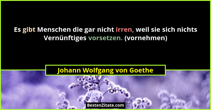 Es gibt Menschen die gar nicht irren, weil sie sich nichts Vernünftiges vorsetzen. (vornehmen)... - Johann Wolfgang von Goethe