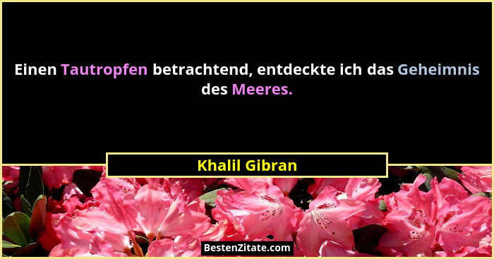 Einen Tautropfen betrachtend, entdeckte ich das Geheimnis des Meeres.... - Khalil Gibran