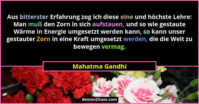 Aus bitterster Erfahrung zog ich diese eine und höchste Lehre: Man muß den Zorn in sich aufstauen, und so wie gestaute Wärme in Energ... - Mahatma Gandhi