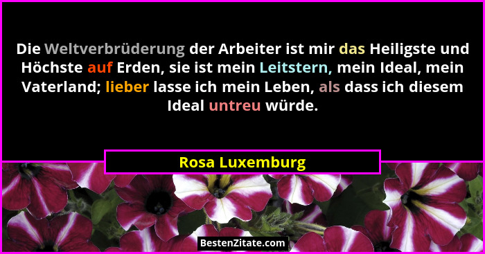 Die Weltverbrüderung der Arbeiter ist mir das Heiligste und Höchste auf Erden, sie ist mein Leitstern, mein Ideal, mein Vaterland; li... - Rosa Luxemburg