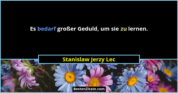 Es bedarf großer Geduld, um sie zu lernen.... - Stanislaw Jerzy Lec