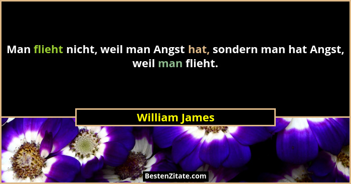 Man flieht nicht, weil man Angst hat, sondern man hat Angst, weil man flieht.... - William James