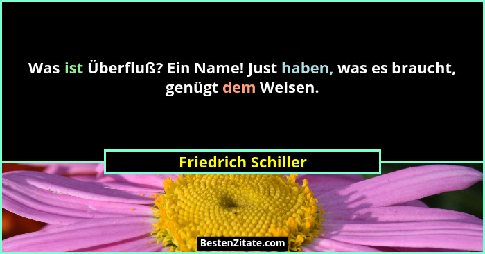 Was ist Überfluß? Ein Name! Just haben, was es braucht, genügt dem Weisen.... - Friedrich Schiller