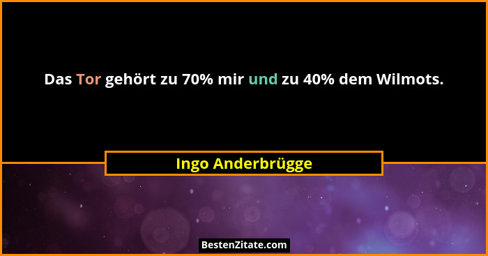Das Tor gehört zu 70% mir und zu 40% dem Wilmots.... - Ingo Anderbrügge