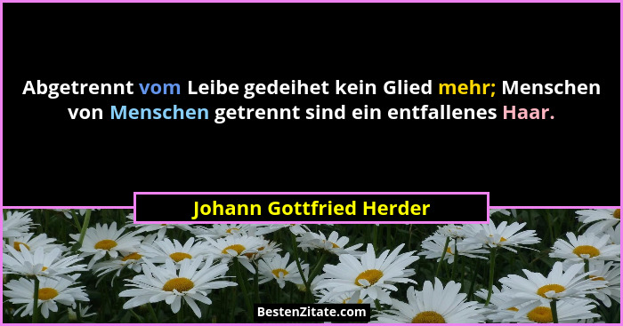 Abgetrennt vom Leibe gedeihet kein Glied mehr; Menschen von Menschen getrennt sind ein entfallenes Haar.... - Johann Gottfried Herder
