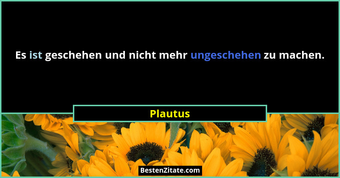 Es ist geschehen und nicht mehr ungeschehen zu machen.... - Plautus