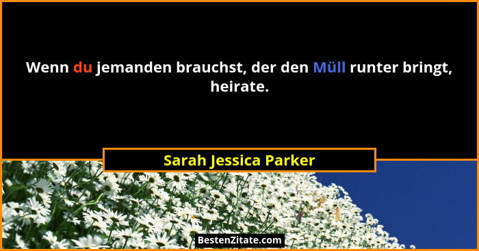 Wenn du jemanden brauchst, der den Müll runter bringt, heirate.... - Sarah Jessica Parker
