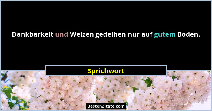 Dankbarkeit und Weizen gedeihen nur auf gutem Boden.... - Sprichwort