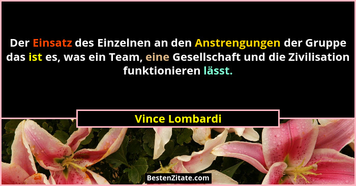 Der Einsatz des Einzelnen an den Anstrengungen der Gruppe das ist es, was ein Team, eine Gesellschaft und die Zivilisation funktionie... - Vince Lombardi