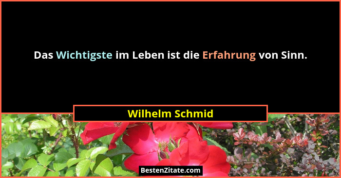 Das Wichtigste im Leben ist die Erfahrung von Sinn.... - Wilhelm Schmid