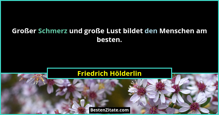 Großer Schmerz und große Lust bildet den Menschen am besten.... - Friedrich Hölderlin