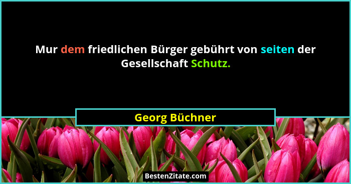 Mur dem friedlichen Bürger gebührt von seiten der Gesellschaft Schutz.... - Georg Büchner