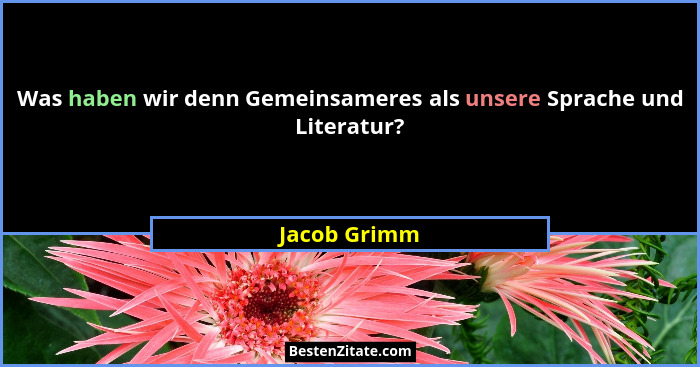 Was haben wir denn Gemeinsameres als unsere Sprache und Literatur?... - Jacob Grimm