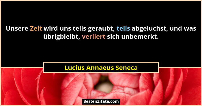 Unsere Zeit wird uns teils geraubt, teils abgeluchst, und was übrigbleibt, verliert sich unbemerkt.... - Lucius Annaeus Seneca