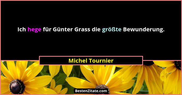 Ich hege für Günter Grass die größte Bewunderung.... - Michel Tournier