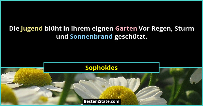 Die Jugend blüht in ihrem eignen Garten Vor Regen, Sturm und Sonnenbrand geschützt.... - Sophokles