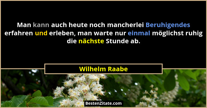 Man kann auch heute noch mancherlei Beruhigendes erfahren und erleben, man warte nur einmal möglichst ruhig die nächste Stunde ab.... - Wilhelm Raabe