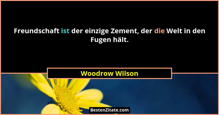 Freundschaft ist der einzige Zement, der die Welt in den Fugen hält.... - Woodrow Wilson