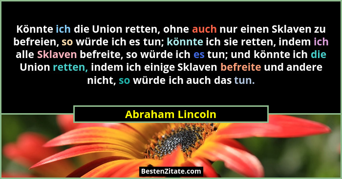 Könnte ich die Union retten, ohne auch nur einen Sklaven zu befreien, so würde ich es tun; könnte ich sie retten, indem ich alle Skl... - Abraham Lincoln
