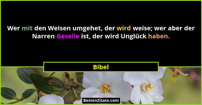 Wer mit den Weisen umgehet, der wird weise; wer aber der Narren Geselle ist, der wird Unglück haben.... - Bibel