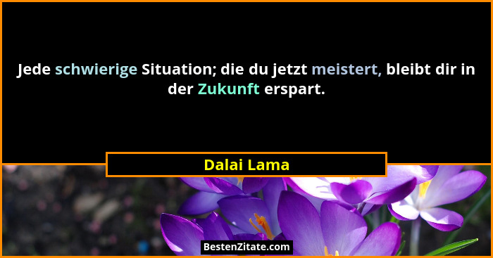 Jede schwierige Situation; die du jetzt meistert, bleibt dir in der Zukunft erspart.... - Dalai Lama