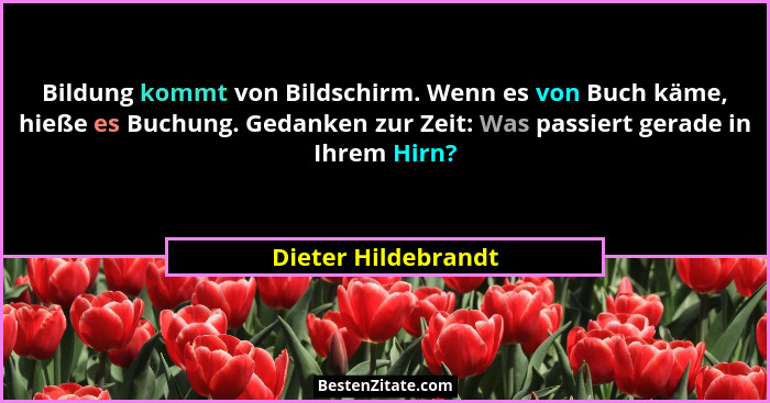 Bildung kommt von Bildschirm. Wenn es von Buch käme, hieße es Buchung. Gedanken zur Zeit: Was passiert gerade in Ihrem Hirn?... - Dieter Hildebrandt