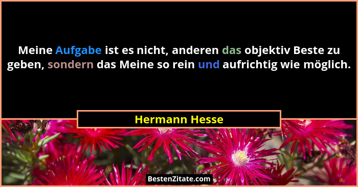 Meine Aufgabe ist es nicht, anderen das objektiv Beste zu geben, sondern das Meine so rein und aufrichtig wie möglich.... - Hermann Hesse