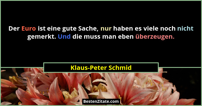 Der Euro ist eine gute Sache, nur haben es viele noch nicht gemerkt. Und die muss man eben überzeugen.... - Klaus-Peter Schmid