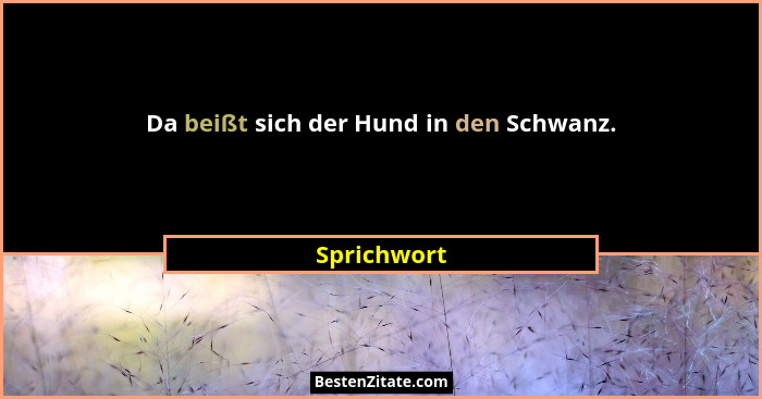 Da beißt sich der Hund in den Schwanz.... - Sprichwort