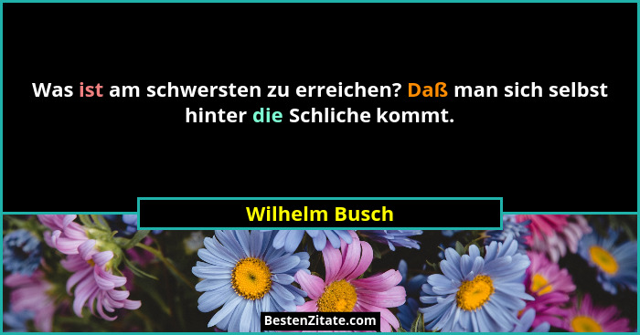 Was ist am schwersten zu erreichen? Daß man sich selbst hinter die Schliche kommt.... - Wilhelm Busch