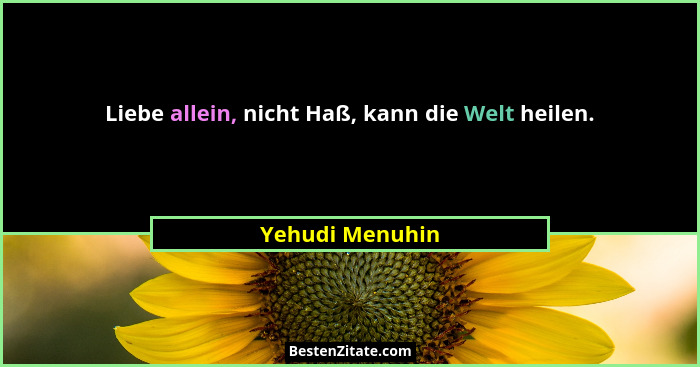Liebe allein, nicht Haß, kann die Welt heilen.... - Yehudi Menuhin