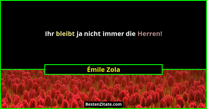 Ihr bleibt ja nicht immer die Herren!... - Émile Zola