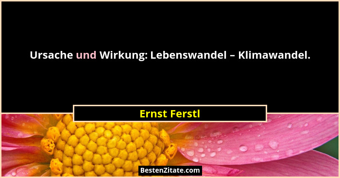 Ursache und Wirkung: Lebenswandel – Klimawandel.... - Ernst Ferstl
