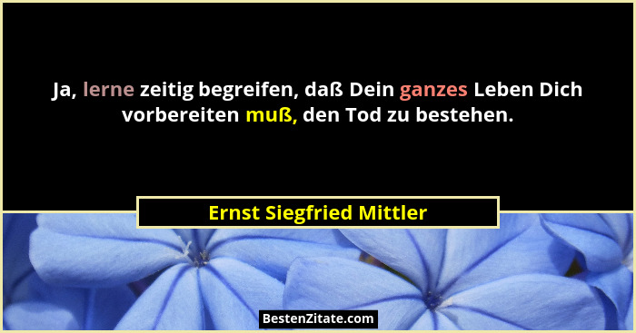 Ja, lerne zeitig begreifen, daß Dein ganzes Leben Dich vorbereiten muß, den Tod zu bestehen.... - Ernst Siegfried Mittler