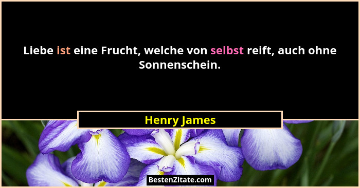 Liebe ist eine Frucht, welche von selbst reift, auch ohne Sonnenschein.... - Henry James