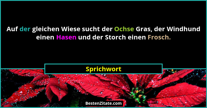 Auf der gleichen Wiese sucht der Ochse Gras, der Windhund einen Hasen und der Storch einen Frosch.... - Sprichwort