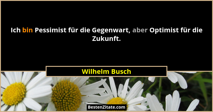 Ich bin Pessimist für die Gegenwart, aber Optimist für die Zukunft.... - Wilhelm Busch