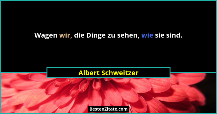 Wagen wir, die Dinge zu sehen, wie sie sind.... - Albert Schweitzer