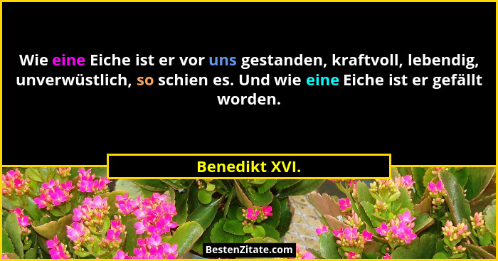Wie eine Eiche ist er vor uns gestanden, kraftvoll, lebendig, unverwüstlich, so schien es. Und wie eine Eiche ist er gefällt worden.... - Benedikt XVI.
